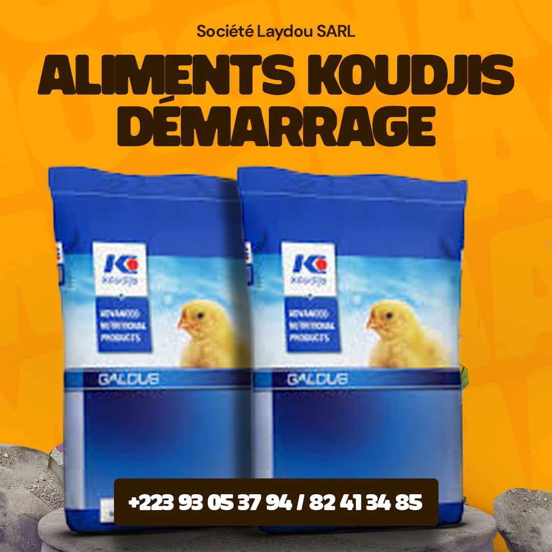 Aliments Koudjis Démarrage - Société Laydou SARL